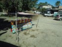 Fruit and coconut drinks for sale