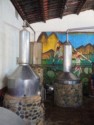 Stills