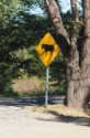 Watch out for bulls