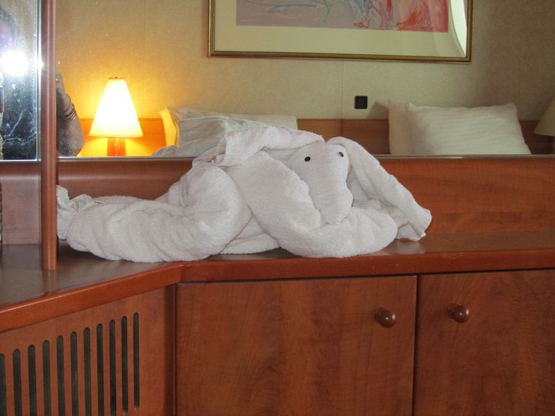 Towel moose