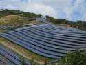 Solar panels