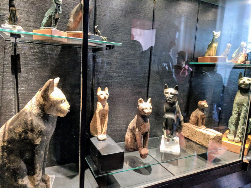 Museum cats