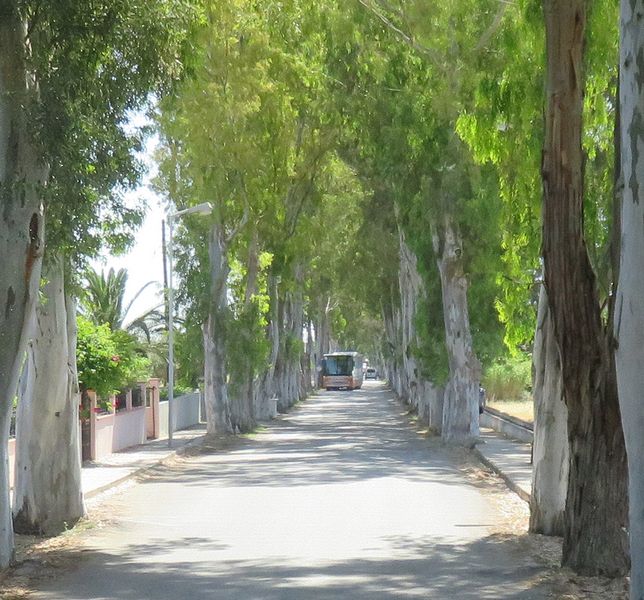 Yikes, there's another bus coming on this narrow road