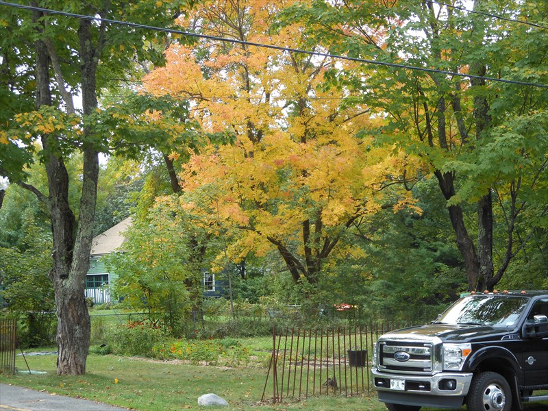 We saw some fall colors