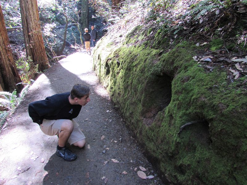 Andrew wonders what's lurking in that hole