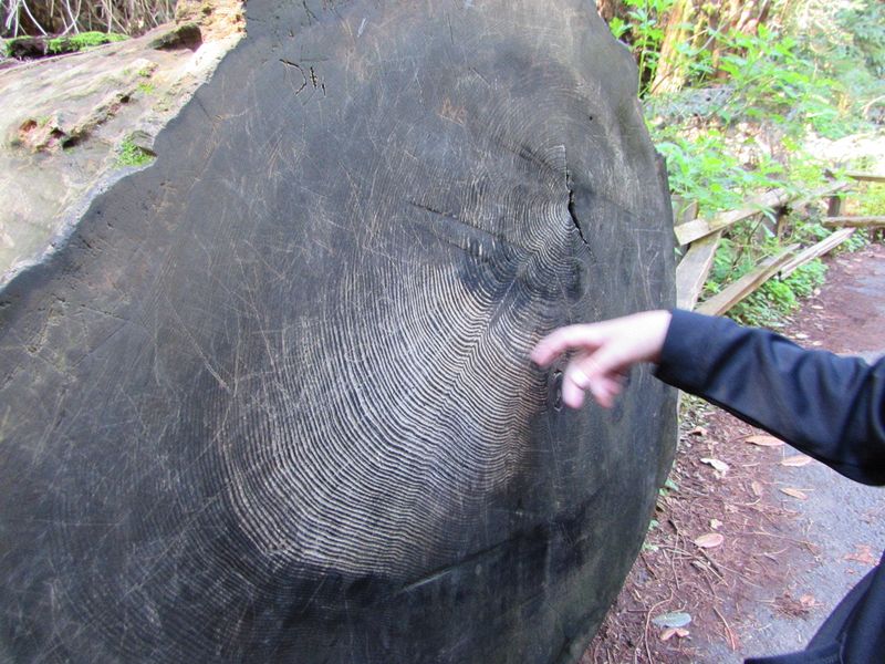 Counting rings
