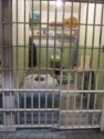 Fake head in the bed and escape hole in the wall