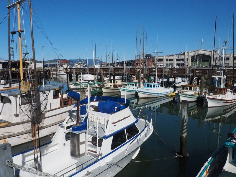 Fishing boats