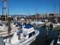 Fishing boats