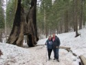 Jen and Dave by the tree tunnel
