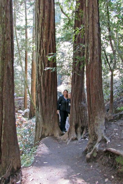 Jen and Nicholas between two trees