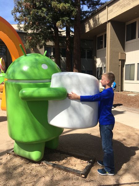 Marshmallow