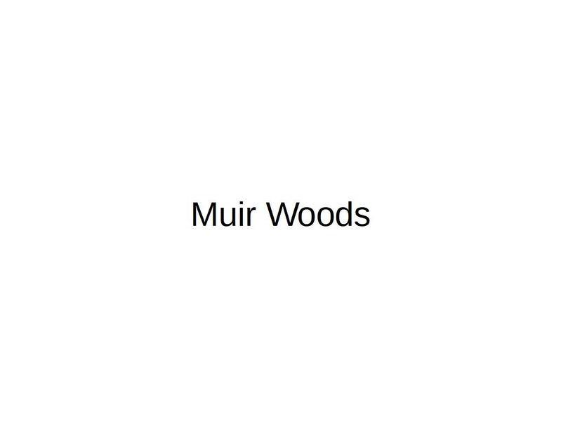Muir Woods