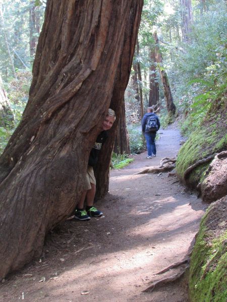 Nicholas inside a tree trunk