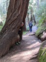 Nicholas inside a tree trunk
