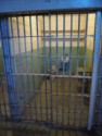 Typical cell
