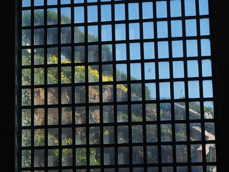 Wildflowers through the barred windows