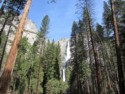 Yosemite Falls in the gap between the trees