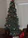 12-Christmass Tree 2005