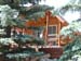 025 Our cabin near Estes Park