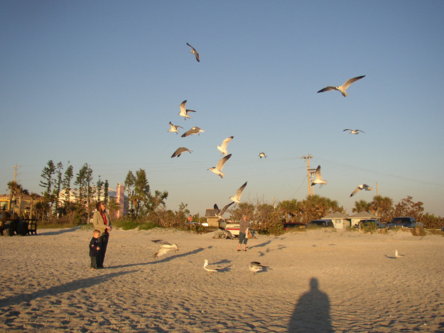 14-Jenny and Andrew feeding the sea gulls at Captiva