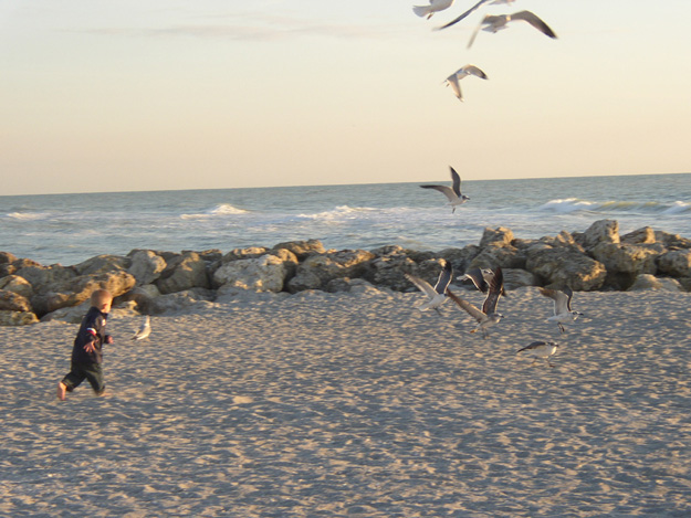 16-Andrew chasing the birds away