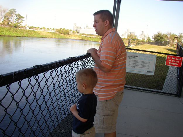 24-Andrew and daddy look for Manatee at Manatee Park