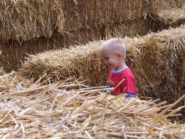 19-Andrew in hay maze