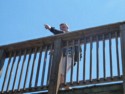 Brian on a walkway