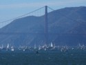 There are a lot of boats watching the show