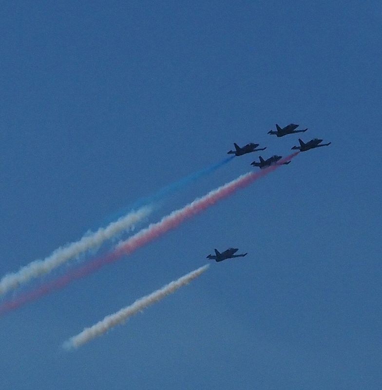 Five of the Snowbirds