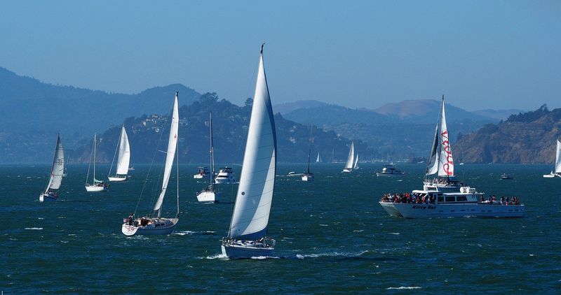 Lots of sail boats on the Bay