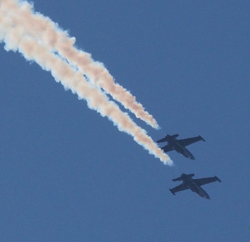 Snowbirds upside down