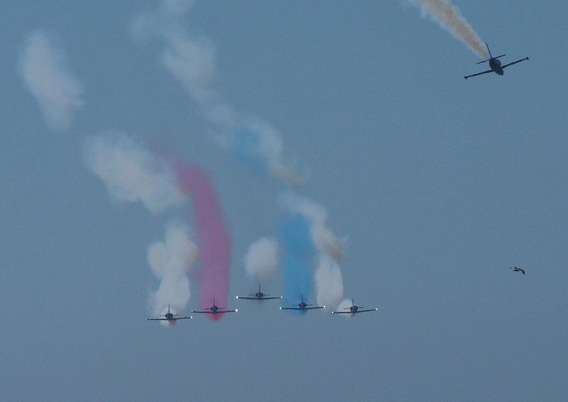 Snowbirds wing lights