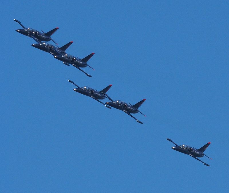 The Snowbirds arrive