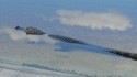 An alligator in the Everglades