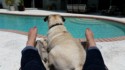 Oscar and Jessica lounging by the pool