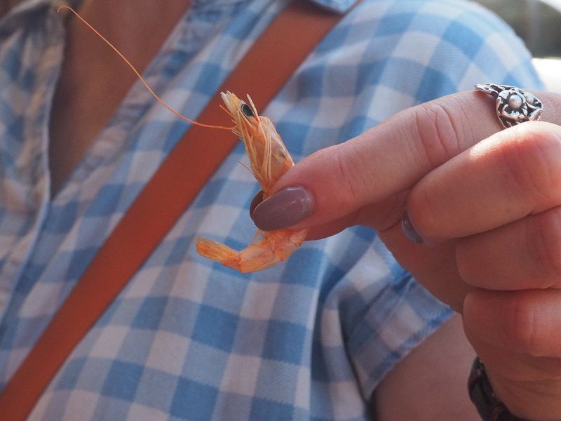 June learns how to eat a dried shrimp