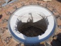 A close-up of the autoclave