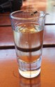 This wasp seems to like this shot of tequila