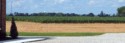 Corn field next to Sylvan Cellars Event Center