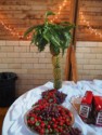 Pineapple palm tree