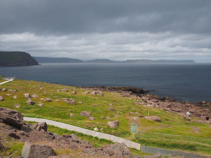 Rocky field