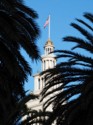 Ferry Building clock tower seen through palm fronds