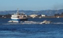 Ferry, sail boats, speed boat