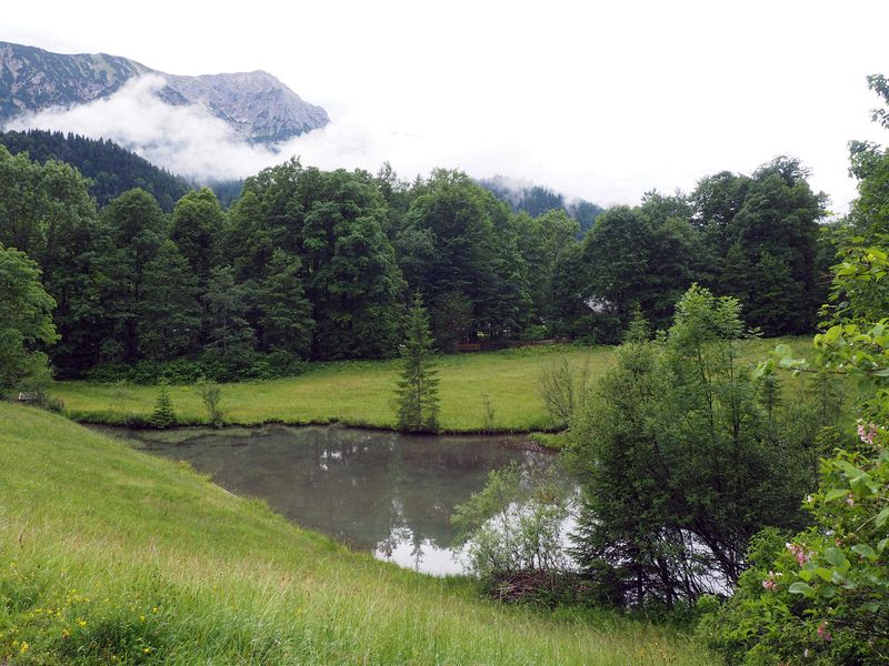 Pond and alpine scenery by the castle