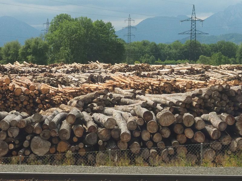 Salzburg burns wood to generate electricity