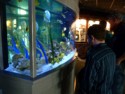 Ehren looks in a colorful tank