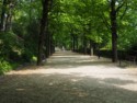 A shady spot as we walk down the hill back to Lyon