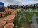 Pots and sculpture made from chicken wire